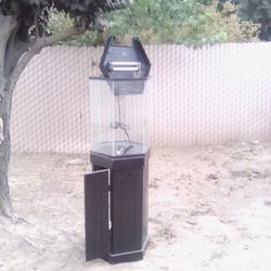 Fish Tank 