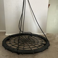 Two Person Outdoor Web Swing