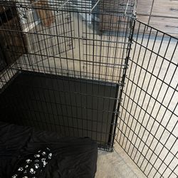 XXL Dog crate