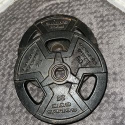 25LB Plates 