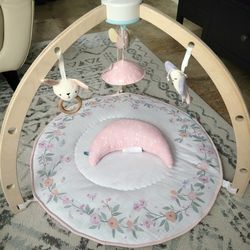 Baby Girl Aden+ Anais Gym