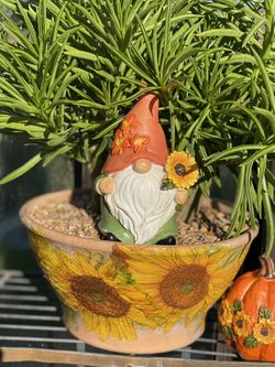 Halloween Fall Harvest Stone Paint Craft For Adults And Kids