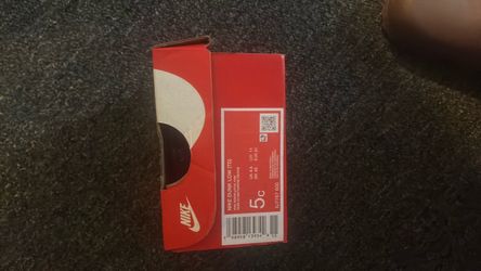 5c Nike dunks