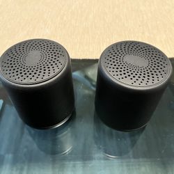 Dual Bluetooth Speakers