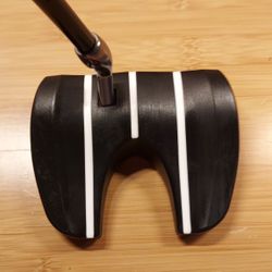 Bloodline Vale Stand Alone Putter 