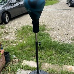 Everlast Speed Bag