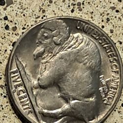 Buffalo Nickel  1937