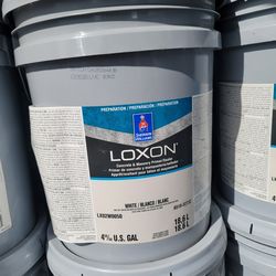 Pintura loxon extra blanco