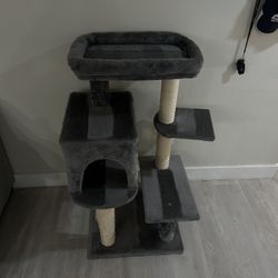 Cat Stands 
