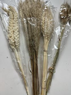Dried Floral Decor