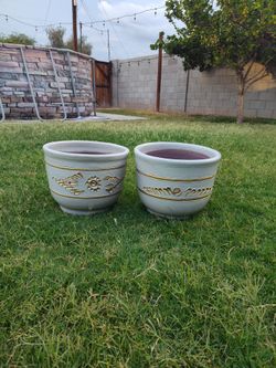 Flower Pot