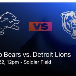 Bears/Lions Game