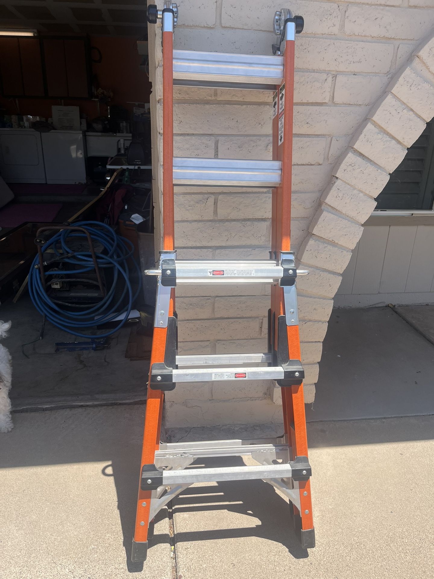 Gorilla Ladder