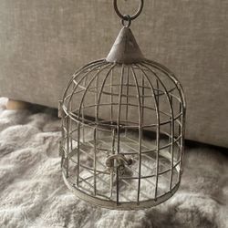 Decorative Mini Birdcage 🕊️✨ 