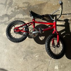 Zephyr Kids Bike 12”