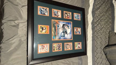 Miami Dolphins Framed Trading Card Display
