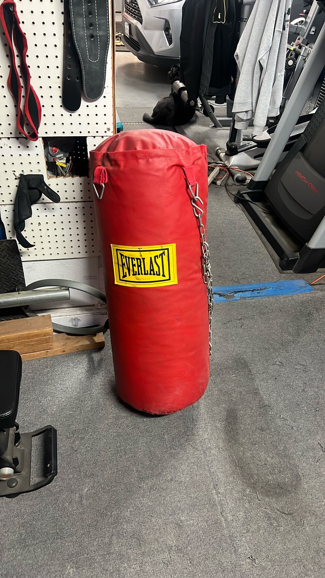 Everlast Punching Bag