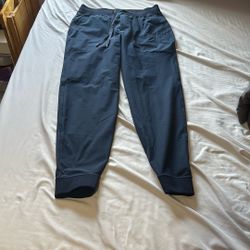 Lulu Lemon Joggers