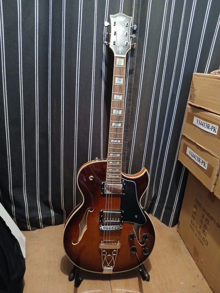 Brand New Semi Hollow Body Guitar