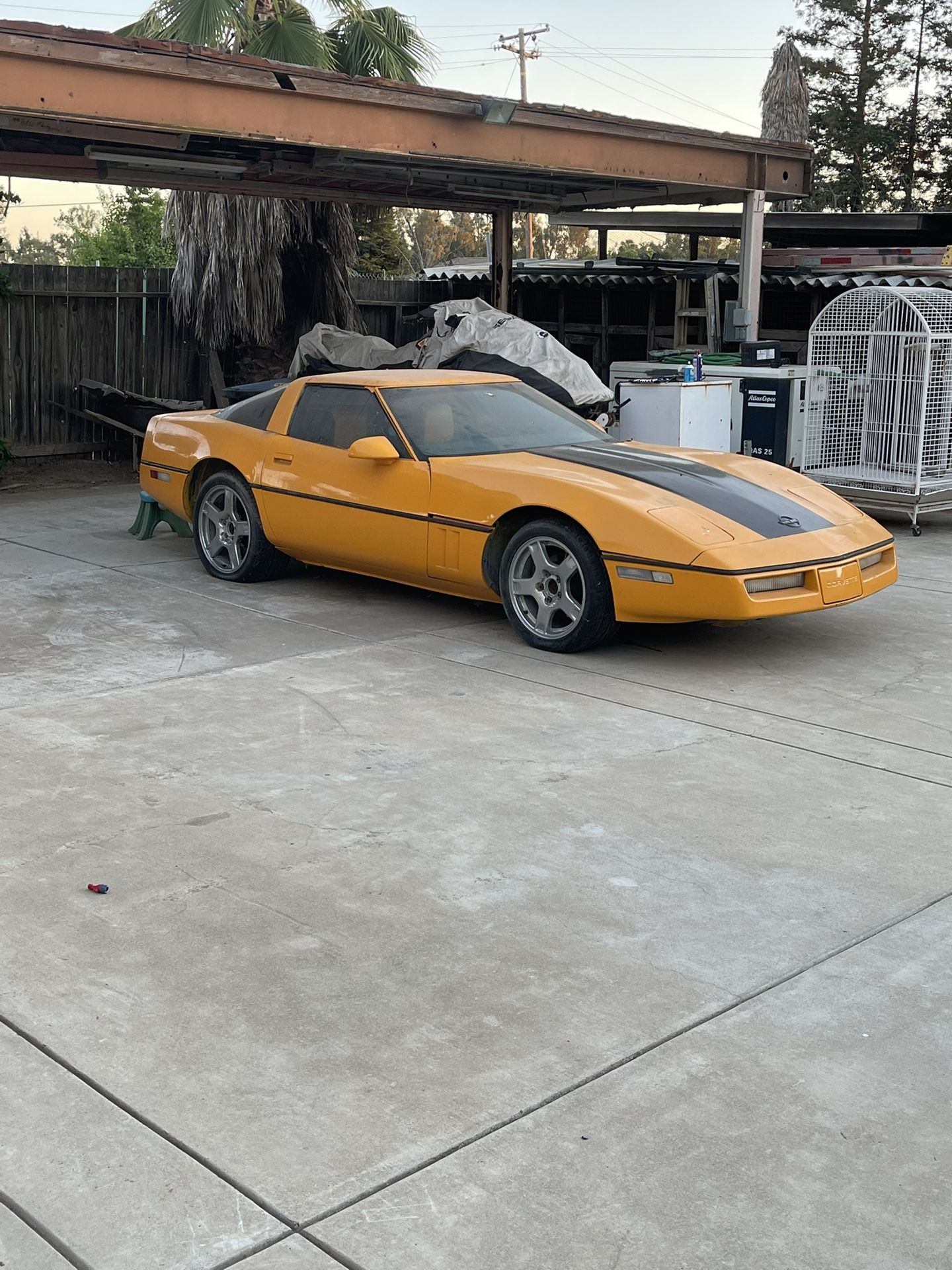 1984 Chevrolet Corvette