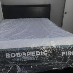 Queen Bed 