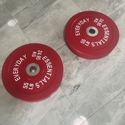 Cash only no Zelle New Pair Of 55lb Bumper Plate With Solid Steel Insert Olympic Weights Plates Total 110lb