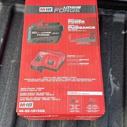 Milwaukee Kit with 12.0Ah Battery and Rapid Charger