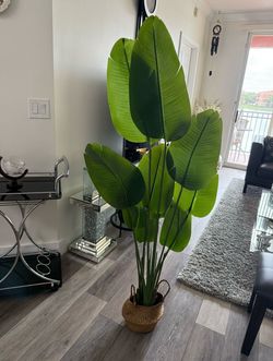 Pretty artificial plant 5 ft tall !New