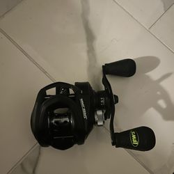 LEWS BAITCASTER REEL