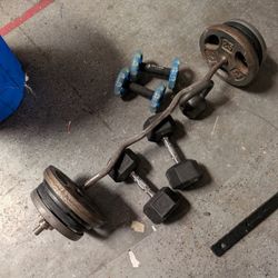 Curl Bar, Plates, Dumbbell 