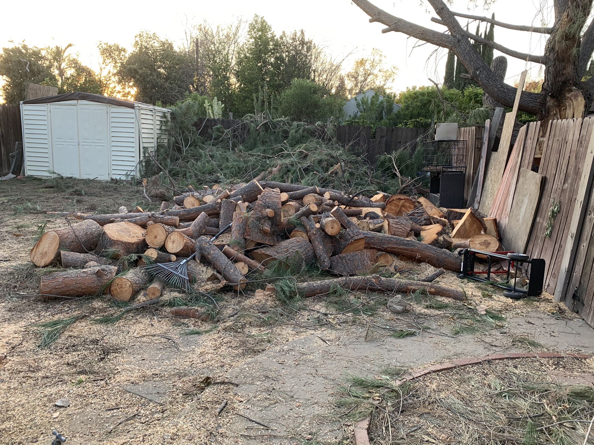Tree trunks for sale in los angeles ca offerup