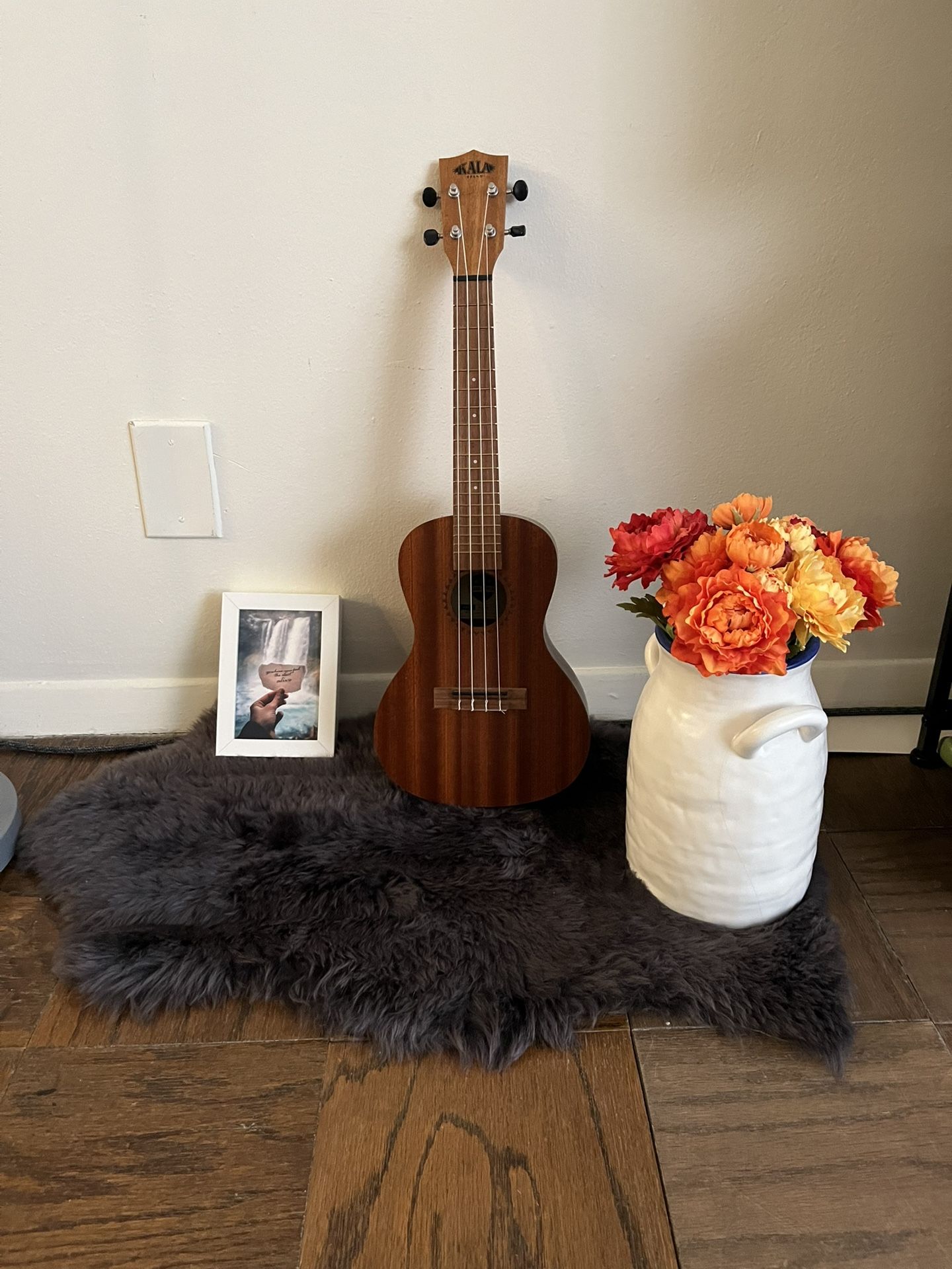 Ukulele, Side rug And Vase