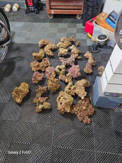 Live Rock decorations reef, saltwater