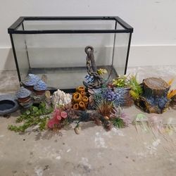 10 Gallon Aquarium With Decor