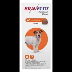 Flea Preventative 