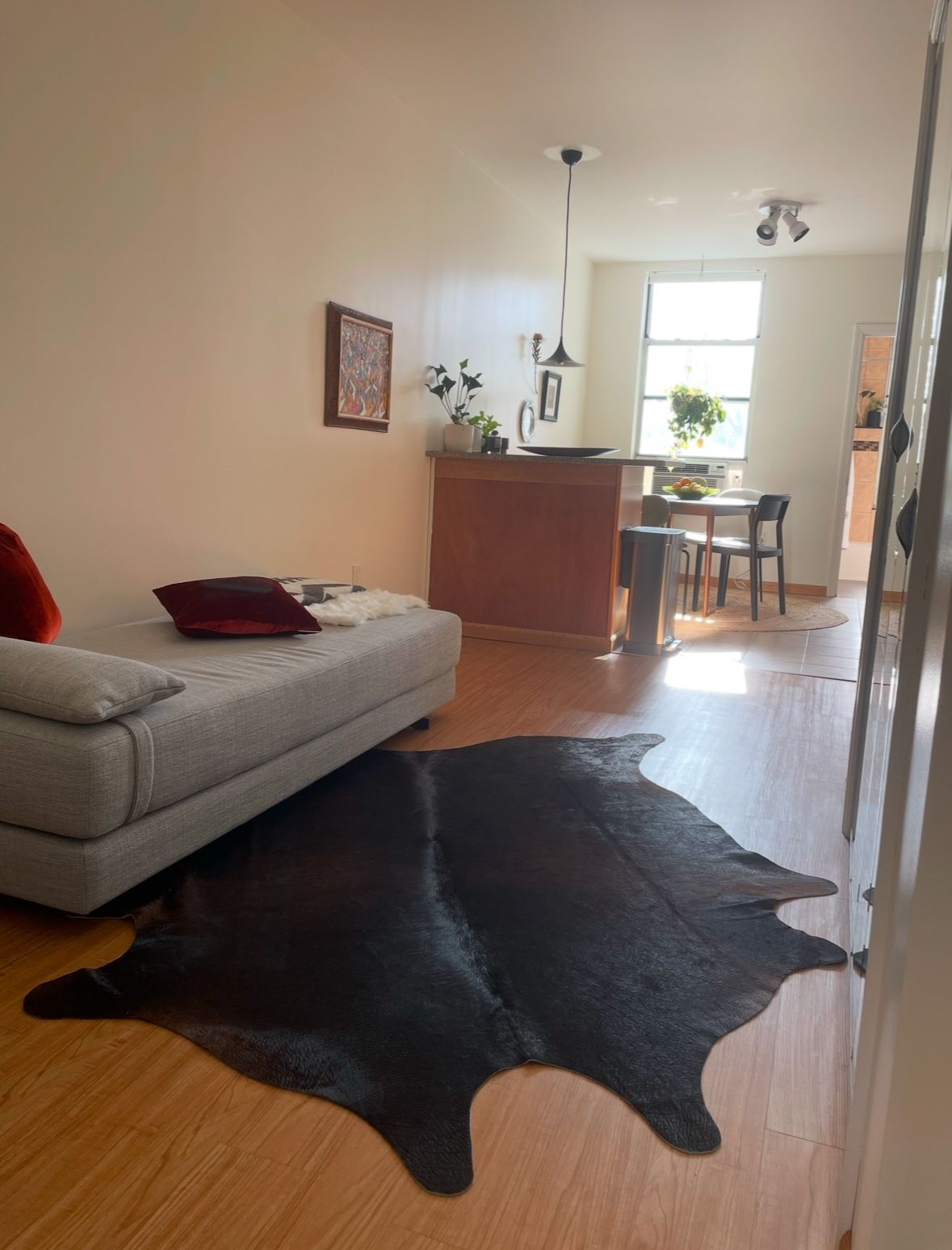 FREE Dark Brown Cowhide Rug