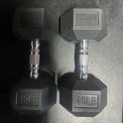 45lb Dumbbells 