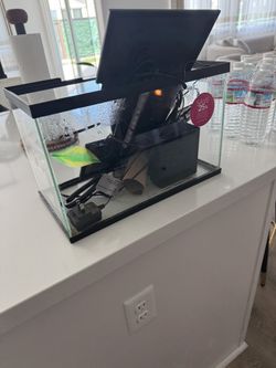 Fish Tank