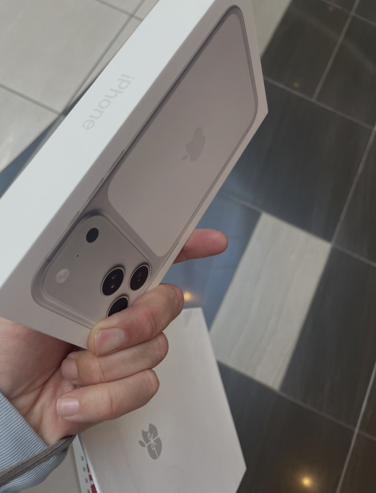 New iPhone 17 Pro Max 256 GB, Silver, Paid In Full Unlocked