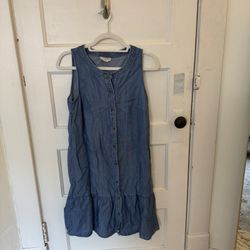 Loft SP Denim Dress