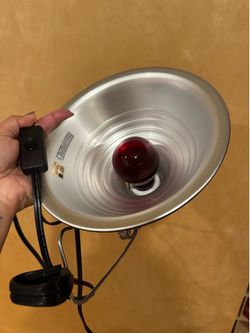 Reptile lamp and night bulb