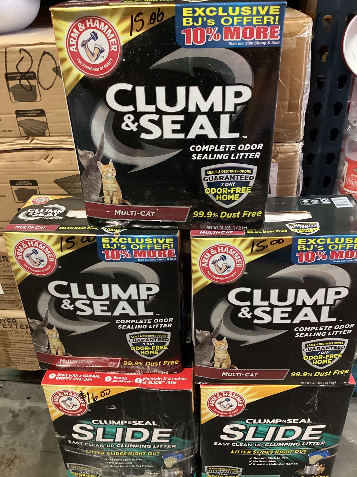Litter Cleanup 