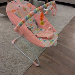 Baby Bouncer