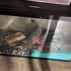 Aquarium