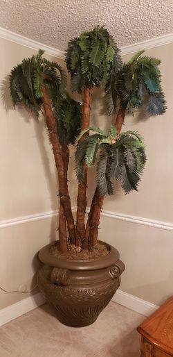 Premium Palm Tree
