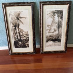 Set Of Tropical Beach Palm Tree Pictures 12” X 24” Black & White Framed 