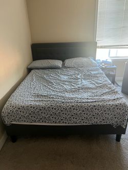 Zinus Queen Bed Frame with Upholstered Headboard + Tuft & Needle Mattress
