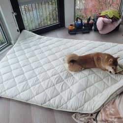 Japanese-Style Futon Floor Mattress 