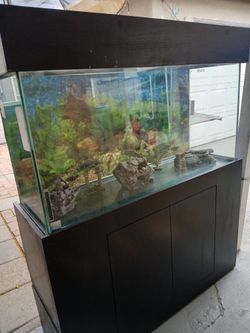 Fish tank.