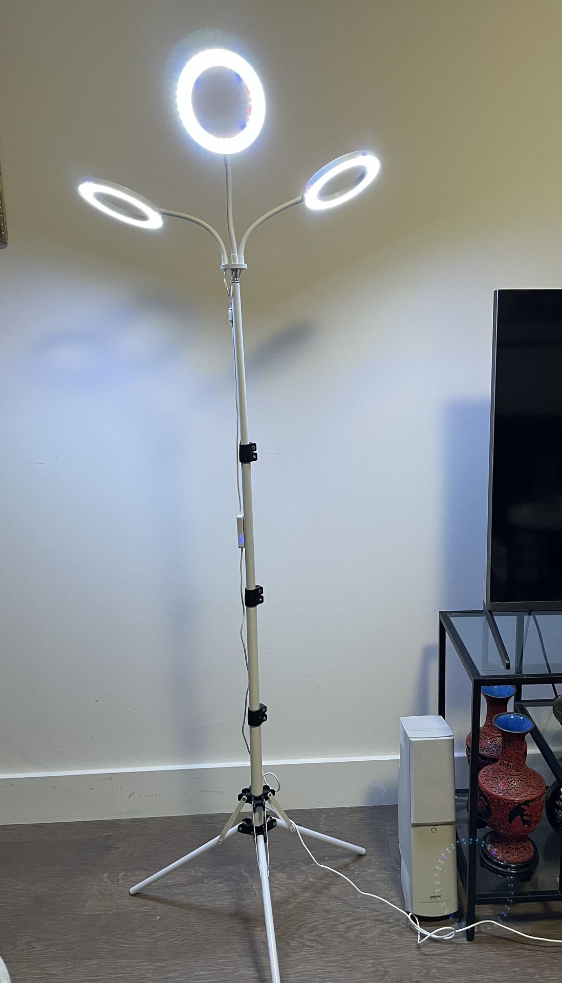 Nice Floor Lamp Like New